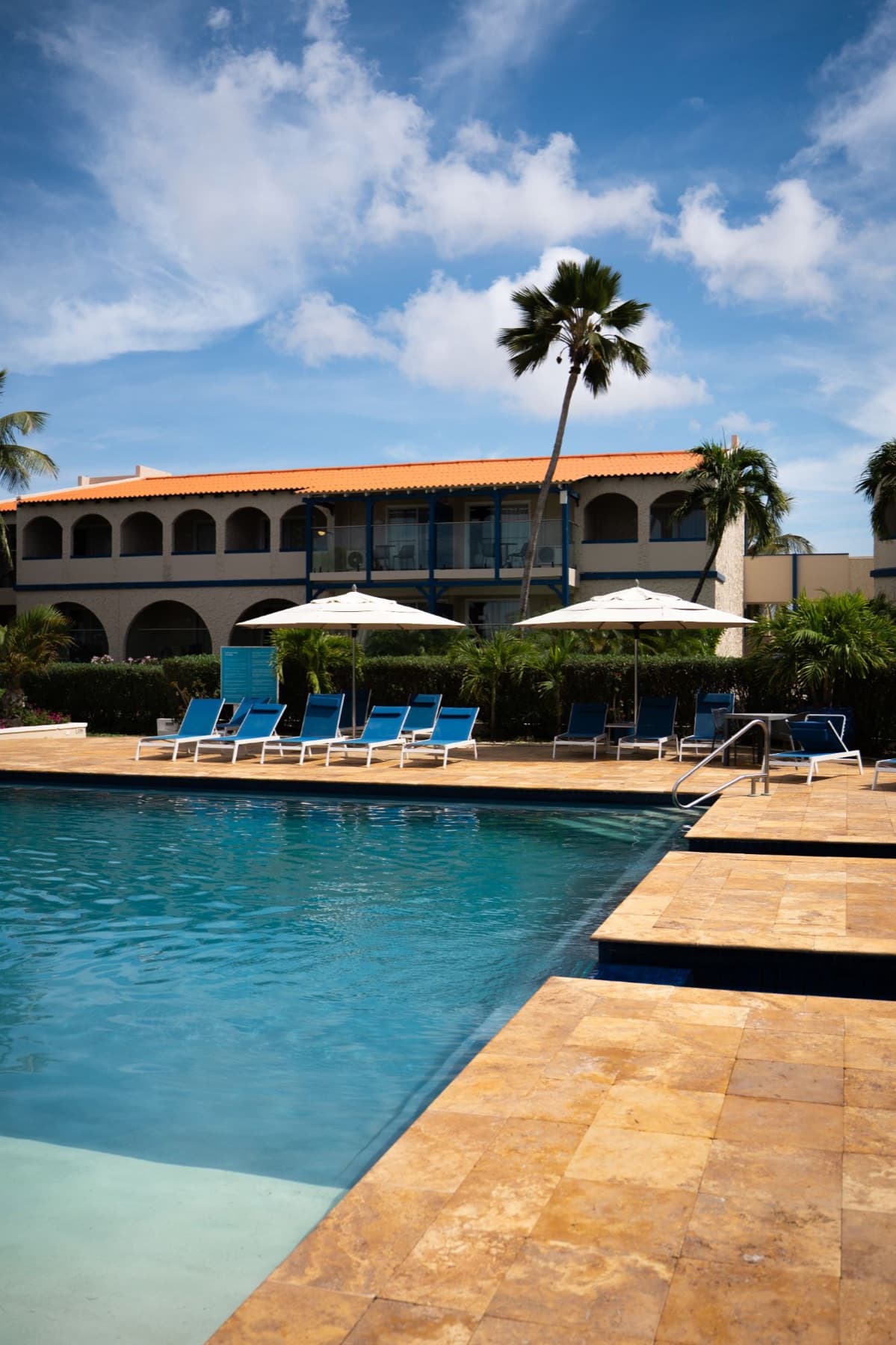 The pool and terracotta-roofed rooms framed by palm trees at Divi Dive Resort in Bonaire