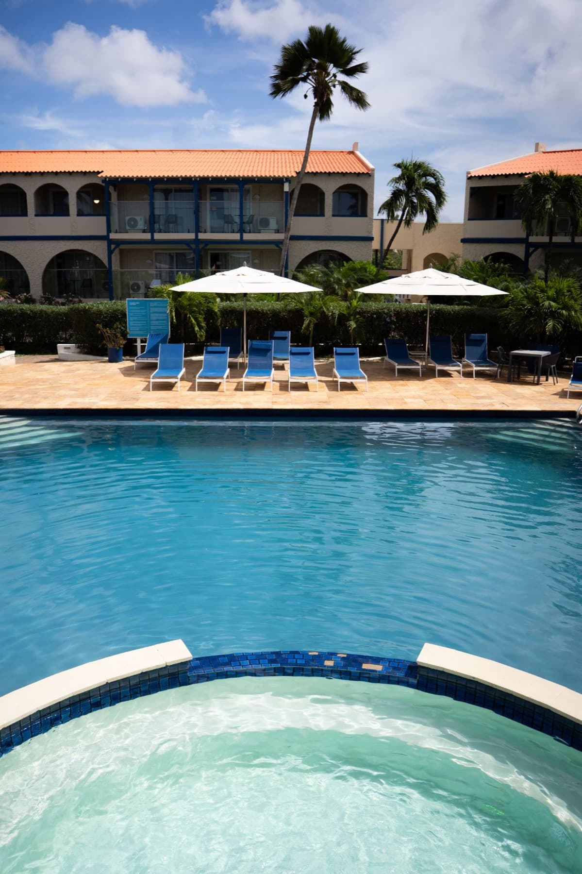The pool and spa with blue loungers and a leaning palm at Divi Dive Resort in Bonaire