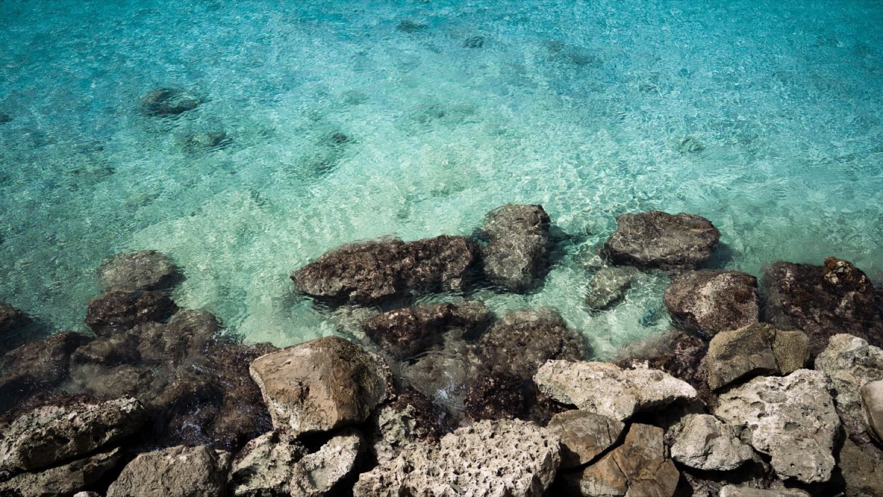 Clear turquoise water over rocks along the shoreline at Divi Dive Resort in Bonaire