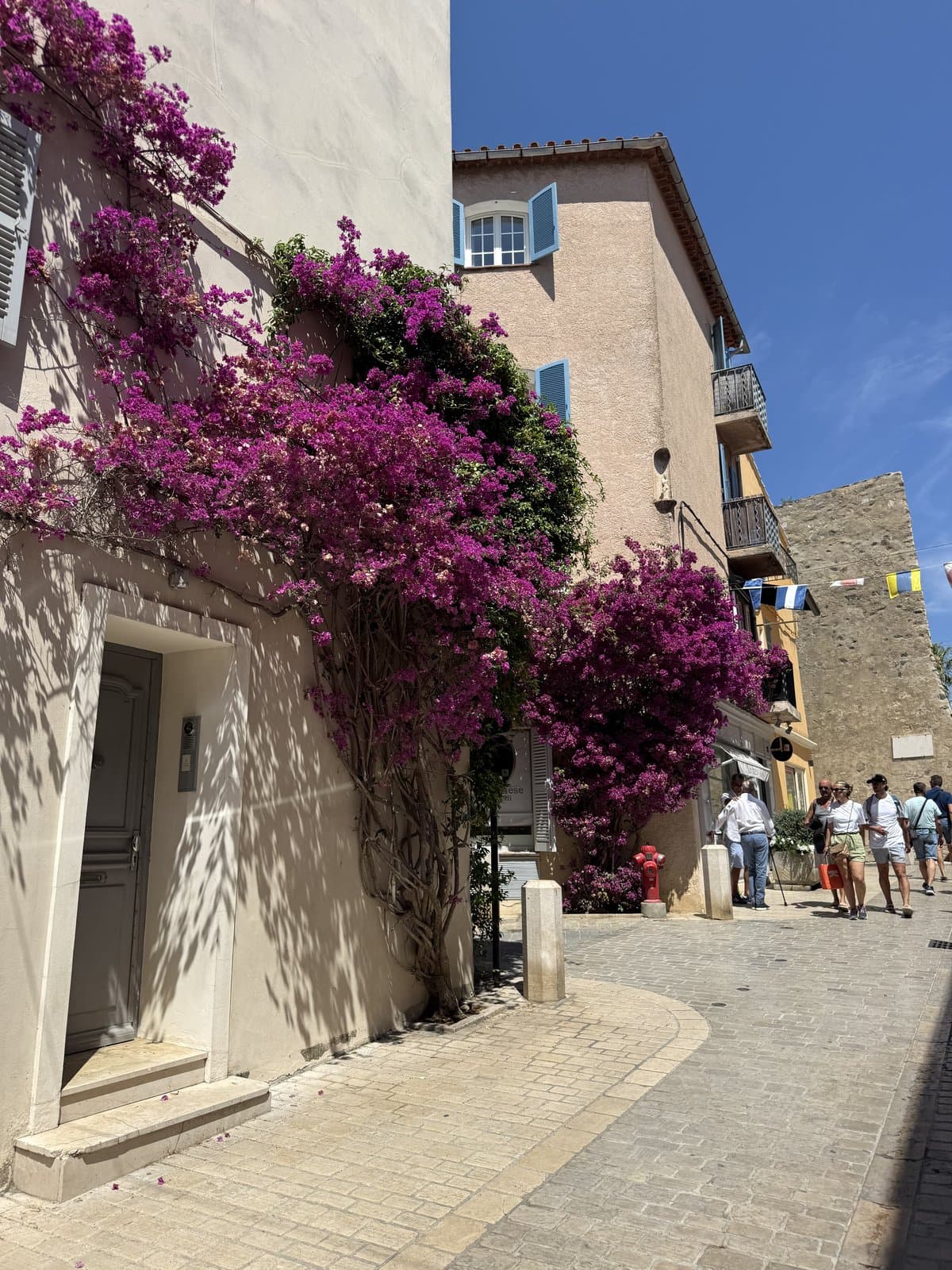 A Mediterranean street lined with bougainvillea